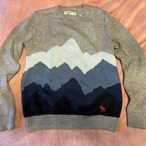 Abercrombie Sweater